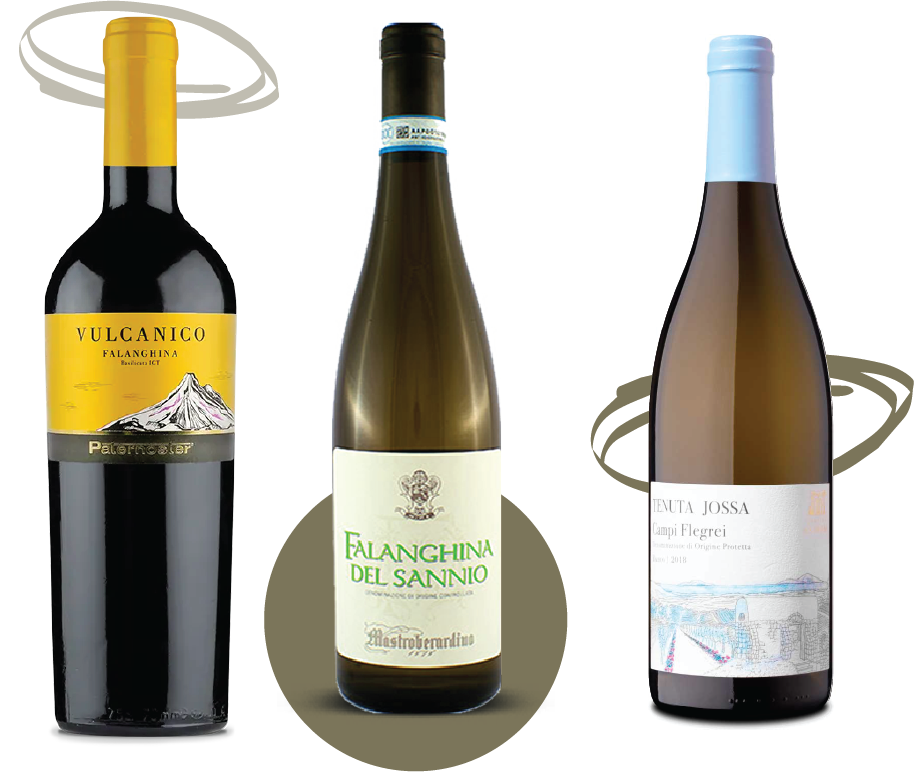 Falanghina